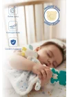 Babyjem 926 Birdy Diş Kaşıyıcılı + Silikon Emzik Hediyeli Uyku Arkadaşım Mavi 