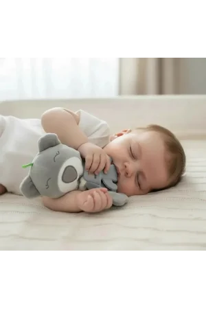 Babyjem Diş Kaşıyıcılı Uykucu Ayıcık 680 Gri