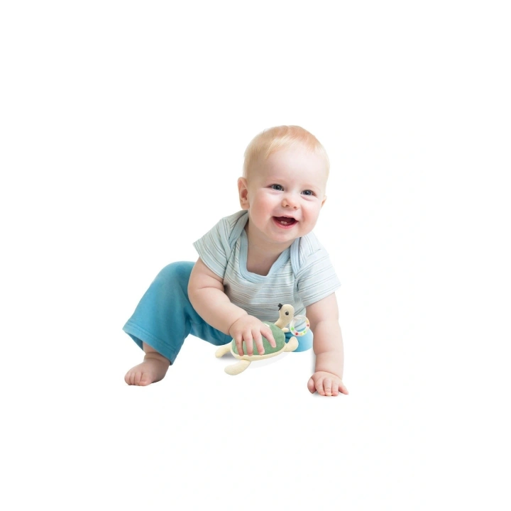 Babyjem Çıngıraklı Kaplumbağa Mint 819