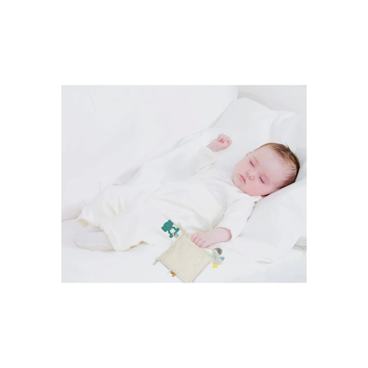 Babyjem Diş Kaşıyıcılı Uykucu Birdy 858 Mavi