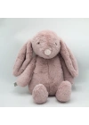 Babyjem Uyku Arkadaşım Soft Tavşan Pembe