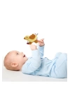 Babyjem Sevimli Çıngırak Lori Tarçın