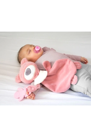 Babyjem Diş Kaşıyıcılı Uykucu Ayıcık 680 Gül Kurusu
