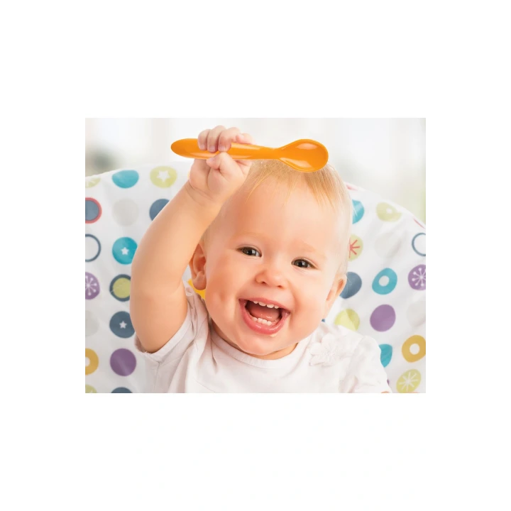 Babyjem Mama Kaşık Çatal Takımı Sarı