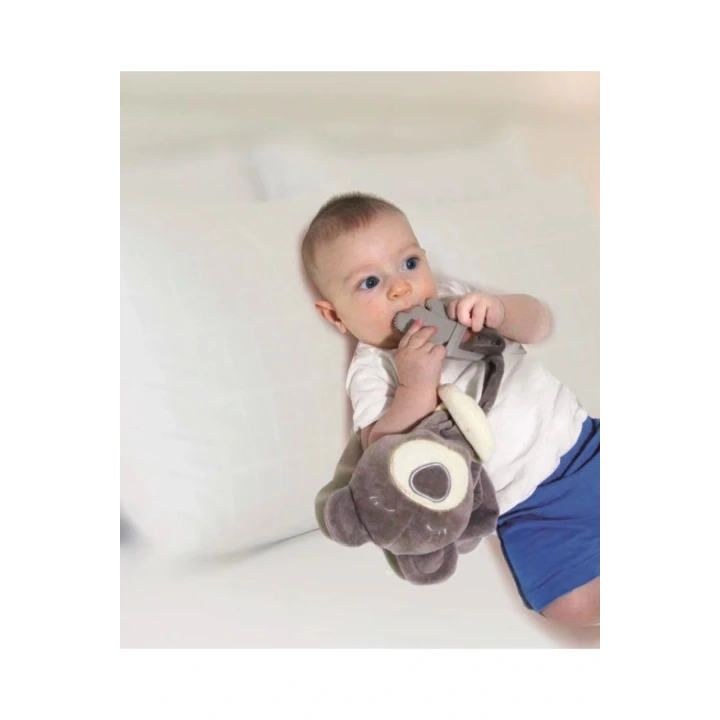 Babyjem Diş Kaşıyıcılı Uykucu Ayıcık 680 Gri