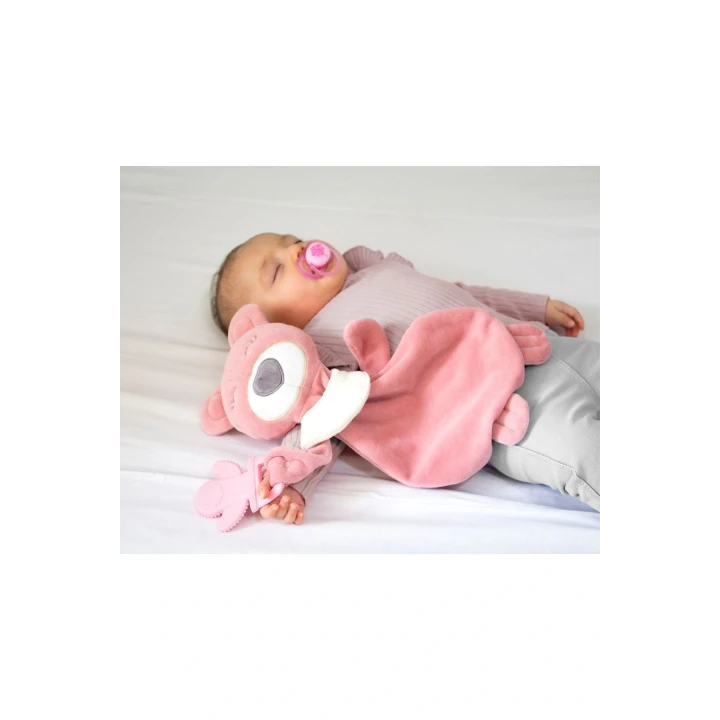 Babyjem Diş Kaşıyıcılı Uyku Arkaşdaşım Gül Kurusu