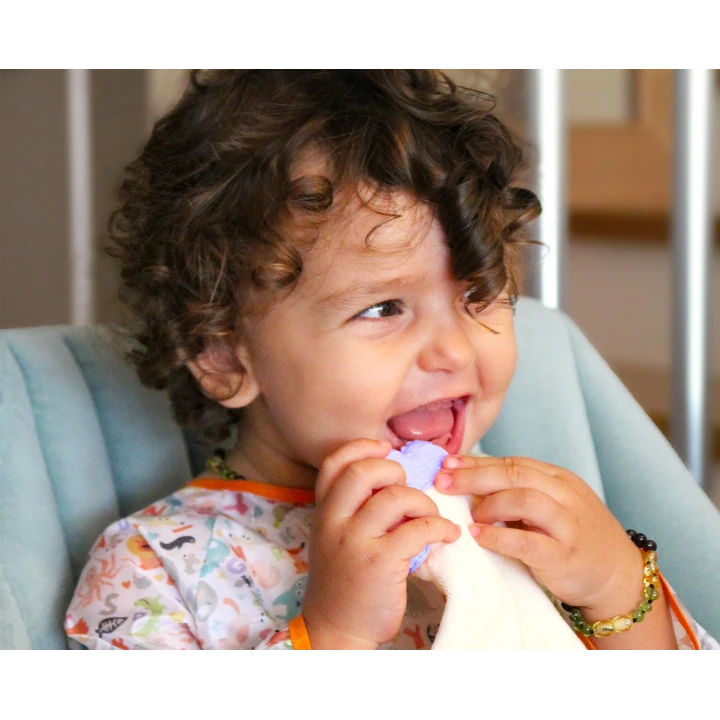 Babyjem Diş Kaşıyıcılı Sevimli Uyku Arkadaşım Mavi