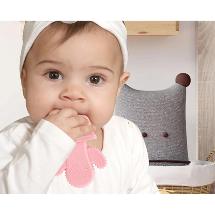 Babyjem Diş Kaşıyıcı Kaktüs Pembe