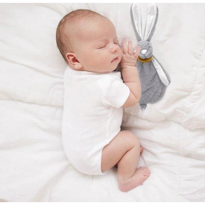 Babyjem Emzik Askılı Tavşan Uyku Arkadaşı Taş