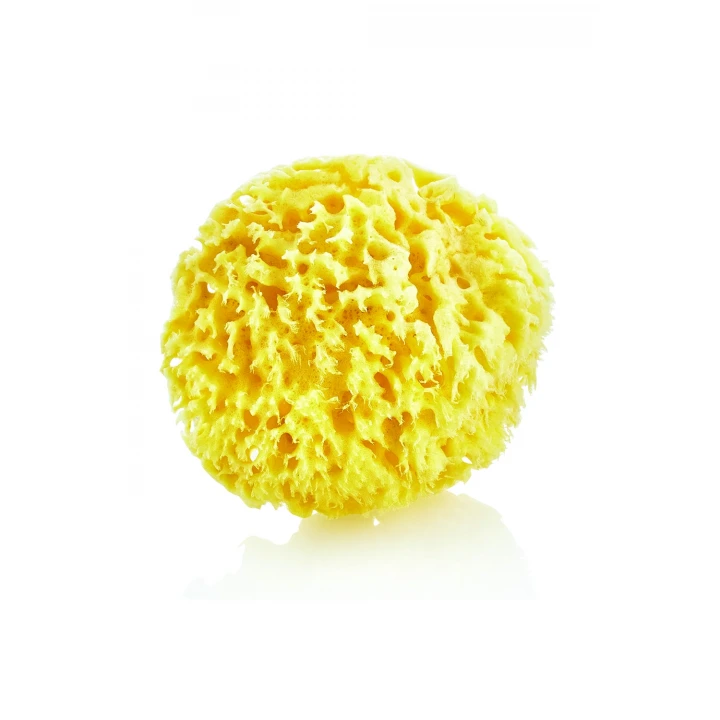 Babyjem Yumuşak Bebek Doğal Deniz Süngeri