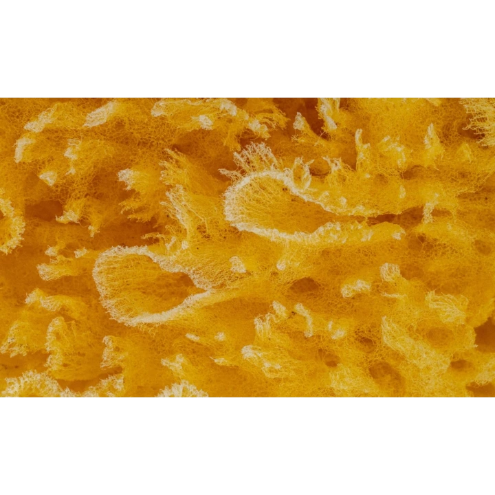 Babyjem Yumuşak Bebek Doğal Deniz Süngeri