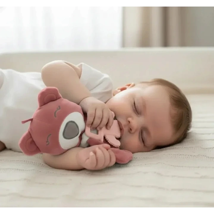 Babyjem Diş Kaşıyıcılı Uyku Arkadaşım Gül Kurusu