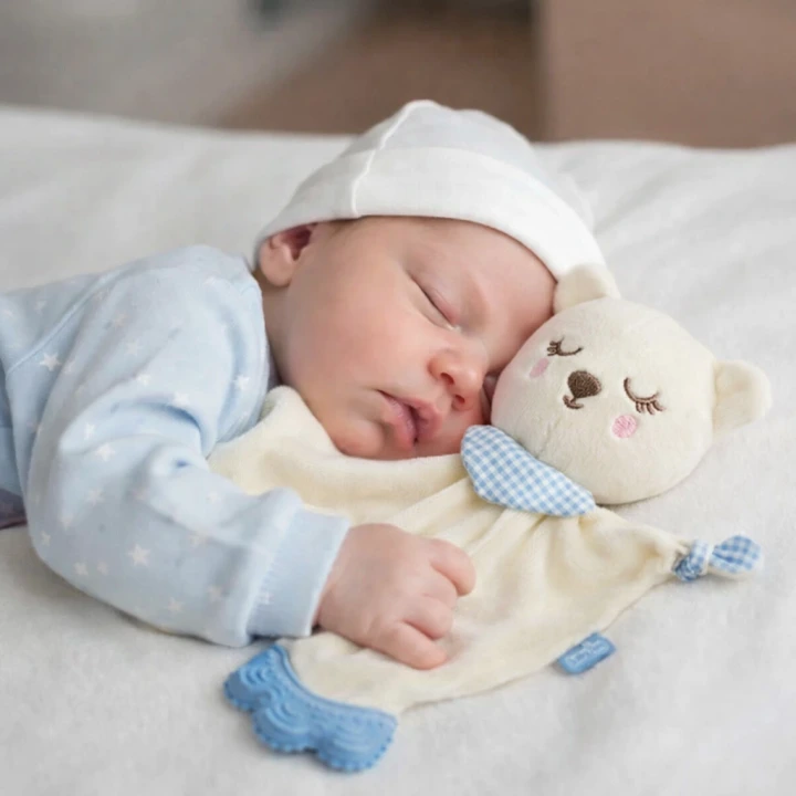 Babyjem Diş Kaşıyıcılı Sevimli Uyku Arkadaşım Mavi