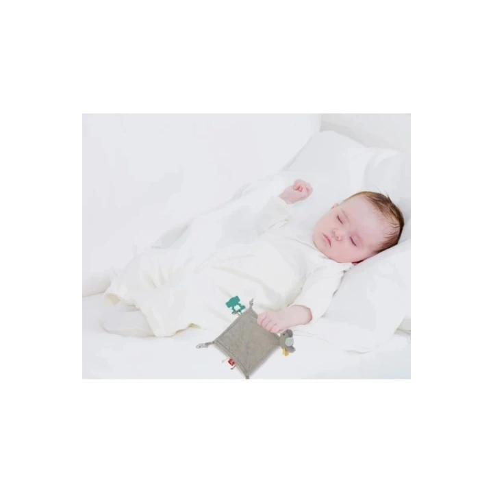 Babyjem Birdy Soft Diş Kaşıyıcılı Uyku Arkadaşım Kahve