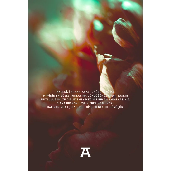 Athenias Mareus EDT Kadın Parfümü | Akdeniz Ülkelerinin Özgün Esans Notaları + Uzun Süre Kalıcılık