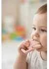 Babyjem Yumuşak Diş Kaşıyıcı Kaktüs Pembe