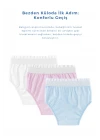 Babyjem Alıştırma Külodu 2li Set 2 Yaş Mavi