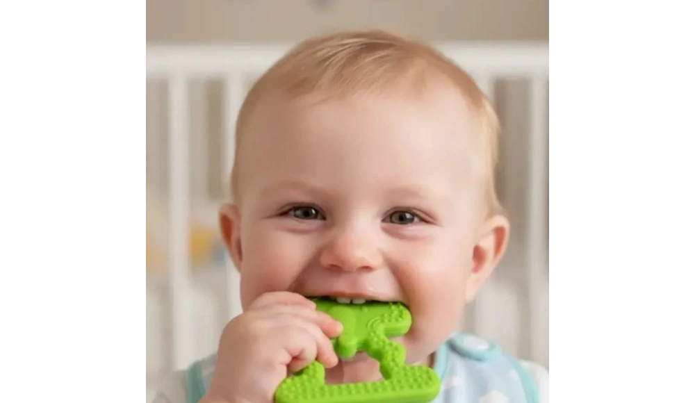 Bebeklerde Diş Kaşıyıcı Ne Zaman Kullanılmalı?