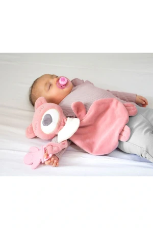 Babyjem Diş Kaşıyıcılı Uyku Arkaşdaşım Gül Kurusu