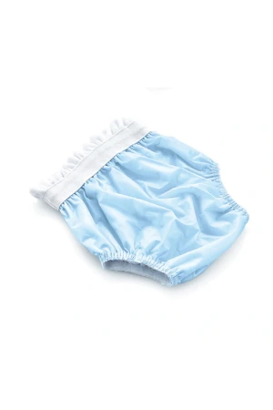 Babyjem Alıştırma Külodu 2li Set 2 Yaş Mavi