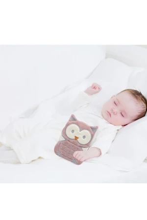 Babyjem Kiraz Çekirdekli Baykuş Kadife Rahatlatıcı Gaz Kemeri & Gaz Yastığı - Gül Kurusu