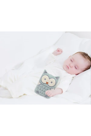 Babyjem Kiraz Çekirdekli Baykuş Kadife Rahatlatıcı Gaz Kemeri & Gaz Yastığı - Yeşil