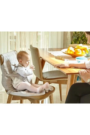 Babyjem Taşınabilir Güvenli Oturma Kiti
