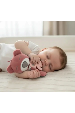 Babyjem Diş Kaşıyıcılı Uyku Arkadaşım Gül Kurusu