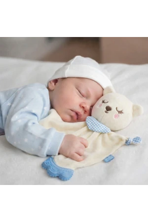 Babyjem Diş Kaşıyıcılı Sevimli Uyku Arkadaşım Mavi