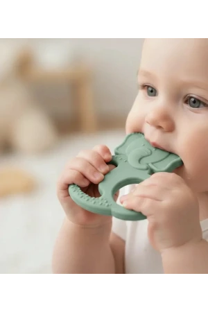 Babyjem Silikon Fil Diş Kaşıyıcı Mint