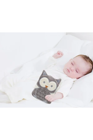 Babyjem Kiraz Çekirdekli Baykuş Kadife Rahatlatıcı Gaz Kemeri & Gaz Yastığı - Gri