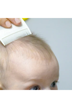 Babyjem Konak Tarağı