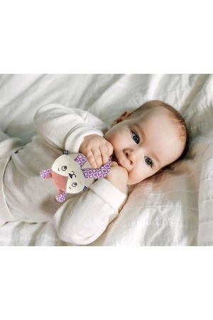 Babyjem Çıngıraklı Kedi Oyun Arkadaşım Gül Kurusu