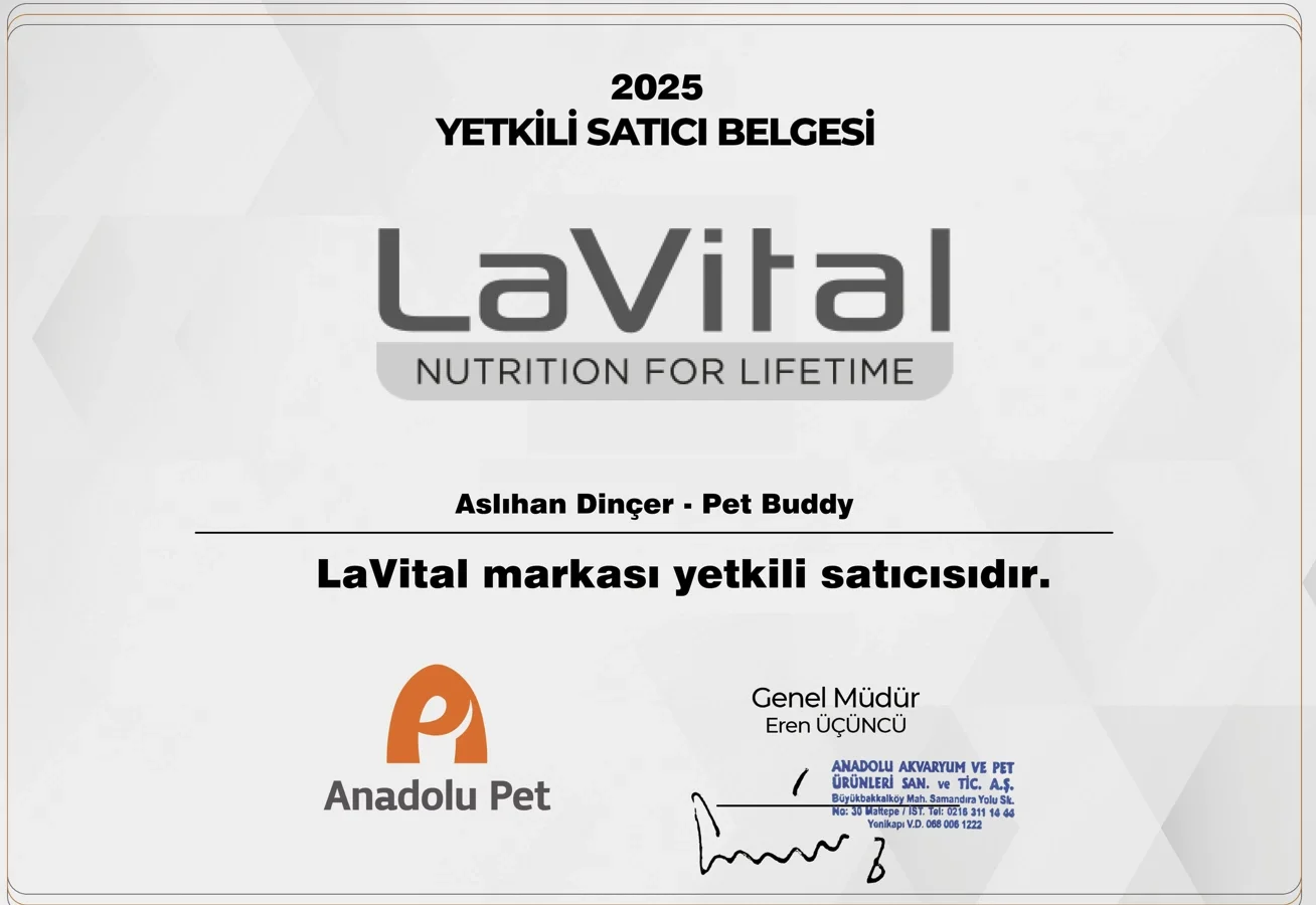 Lavital