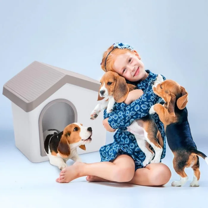 Imac Zeus 50 Evcil Hayvan Evi