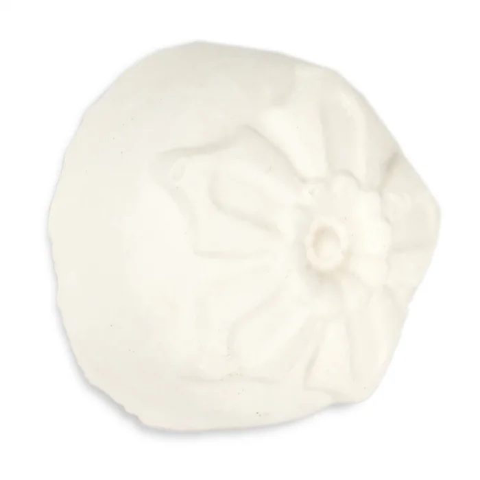 Quik Gaga Taşı – Kuşlar İçin Doğal Gaga Bakım ve Kalsiyum Taşı | PetBuddy