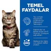 Hills Hairball Perfect Coat Tavuklu Kedi Maması 1,5 Kg
