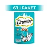 Dreamies Somonlu Kedi Ödül Maması 60 gr