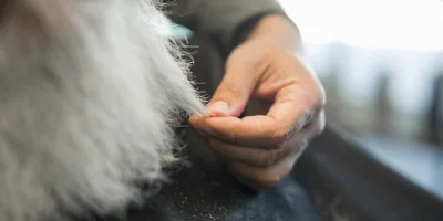 Hayvanlarda Tüy Sağlığı: Parlak ve Güçlü Tüyler İçin Altın Öneriler