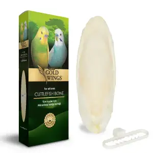 Gold Wings Premium Küçük Mürekkep Balığı Kemiği