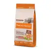 Natures Variety Original No Grain Somonlu 12 kg Orta ve Büyük Irk Yetişkin Köpek Maması