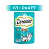Dreamies Somonlu Kedi Ödül Maması 60 gr