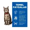 Hill’s Science Plan Yetişkin Kuzulu Kedi Maması 1,5 kg