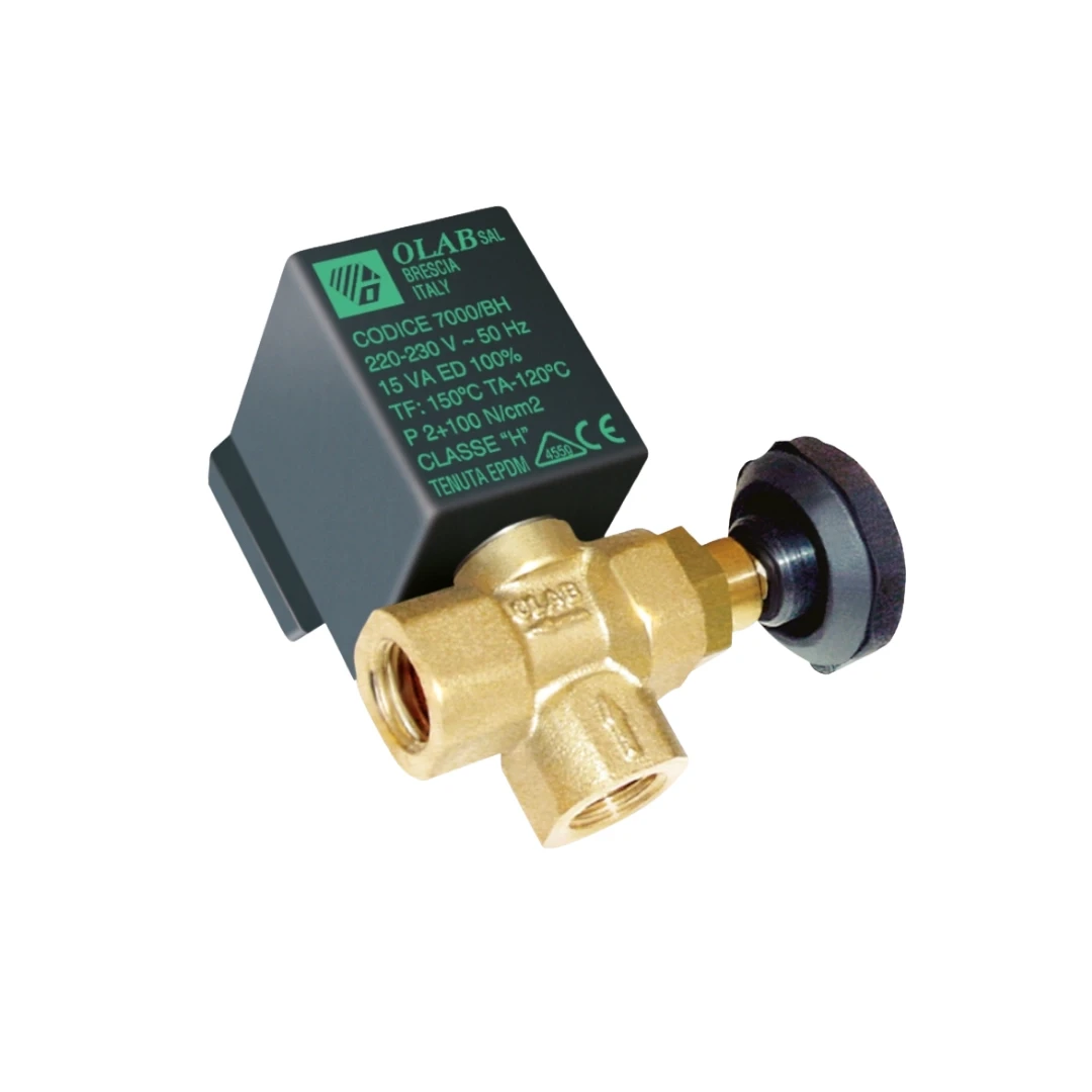 Kazanlı Ütü Olab Solenoid Valf 1/4 7000/G