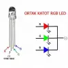 Powermaster 1592-5mm Rgb Led 4 Pin Ortak Katot
