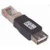 RJ 45 Erkek Usb A Dişi Ethernet Çevirici Jack