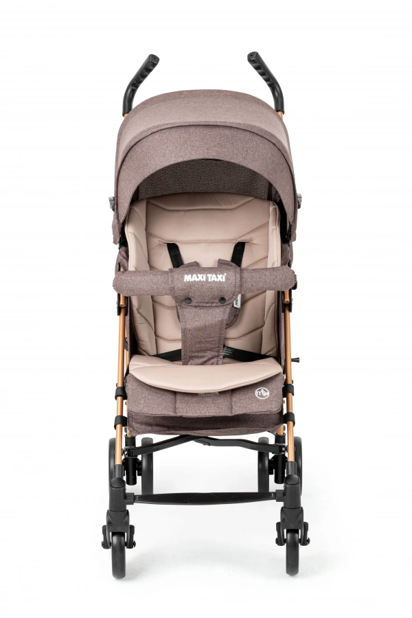 Maxi Taxi Floki Tam Yatarlı Alüminyum Baston Bebek Arabası