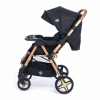 Maxi Taxi Milano Çift Yönlü Travel Sistem Bebek Arabası