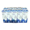 Panasonic 3w E14 6500k Beyaz Işık Led Ampul 10 Adet