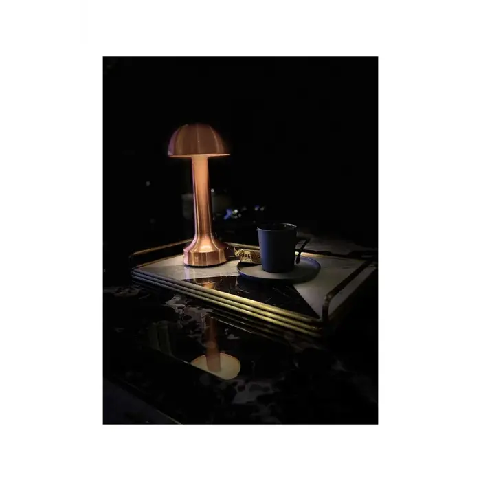 Cata Lizbon Şarjlı Masa Lambası Ct-8430